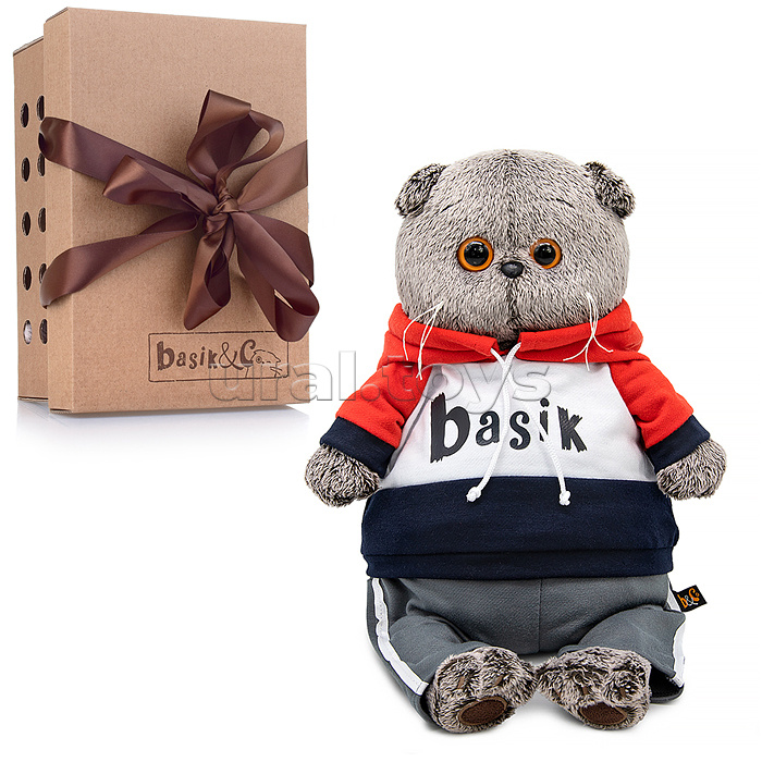 Кот Басик в костюме в стиле спорт-шик