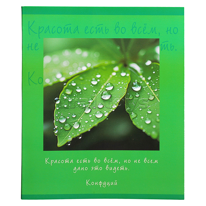 Тетрадь 48л. клетка "Природная красота" А5 скрепка