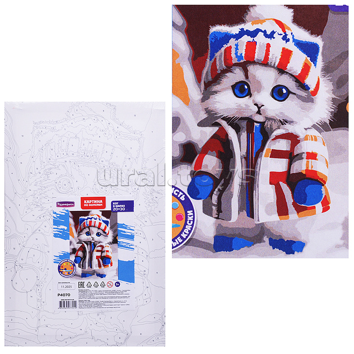 Картина по номерам "Кот в шапке" 20х30см