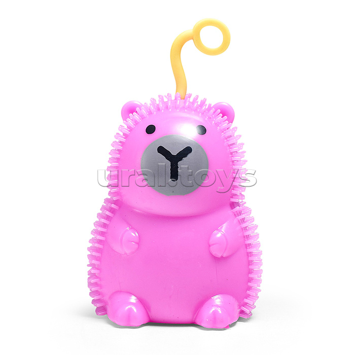 Игрушка-пищалка "Капибара" в коробке