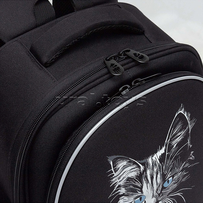 Рюкзак школьный (/1 чёрный)