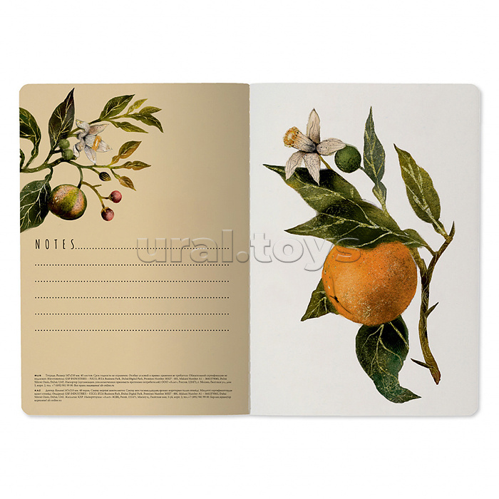 Тетрадь 40л. клетка "Flora. Paradise. Oranges" А5