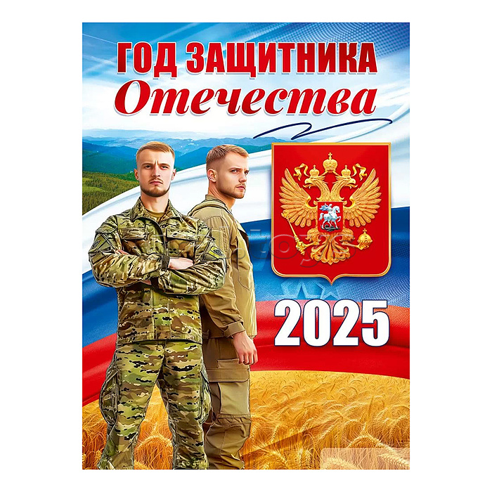 Плакат "Год защитника отечества"