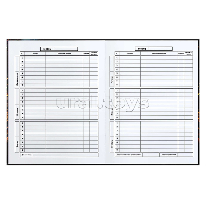 Дневник 1-11 кл. "Чёрный болид"