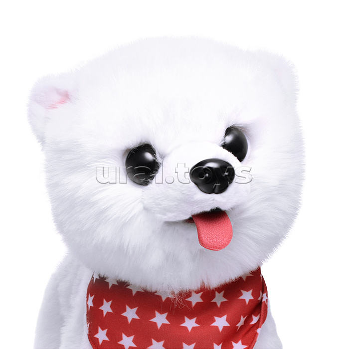 Собака "Боня" (может говорить, ходит, записывает)  в коробке