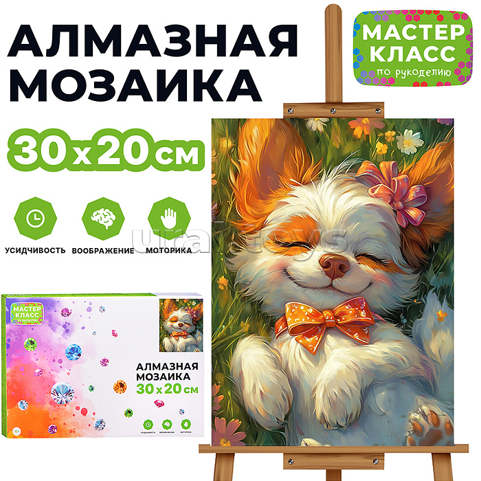 
Мозаика алмазная "Сон щенка" 20*30см.