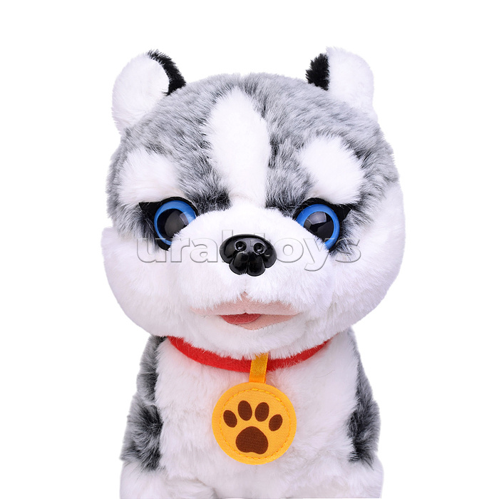 Собака "Пушок" (записывает, поёт, двигается) в пакете