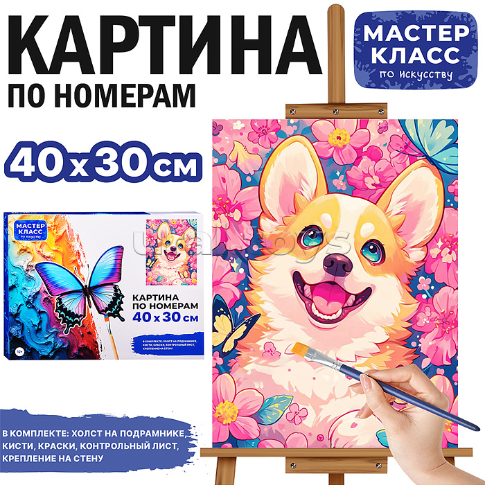 Набор для рисования "Картина по номерам 30х40 см. Корги"