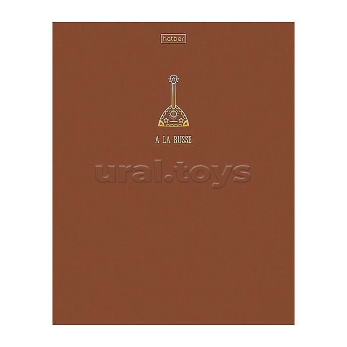 Тетрадь 48л. клетка "А-ля Рус" А5ф на скобе ламинация цв. 3D фольга 5 диз.в блоке