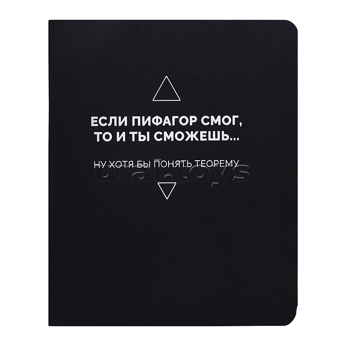 Тетрадь 48л. клетка "Оттенки сарказма" А5 скрепка