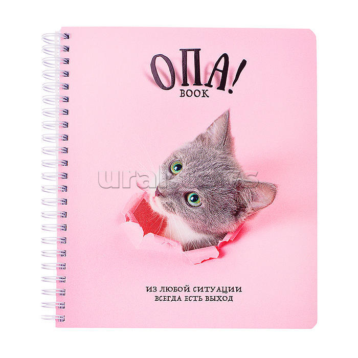 Тетрадь 96л. клетка/линия, А5 "Перевертыш Опа!" гребень