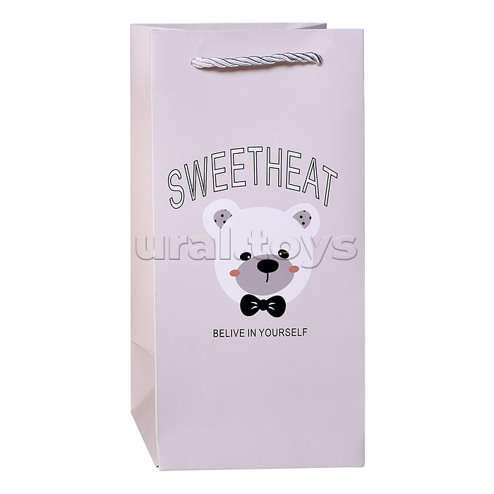 Пакет подарочный "Веселье в упаковке" 24,5*12*10см.