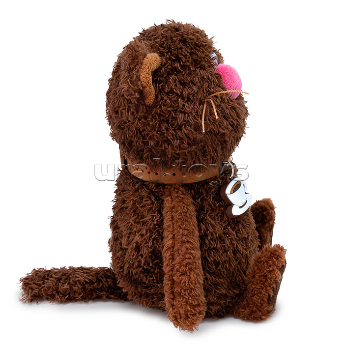 Кофейные коты Американо