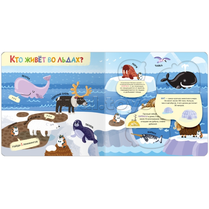 Книжки с окошками. Мир животных Книжки с окошками. Мир животных