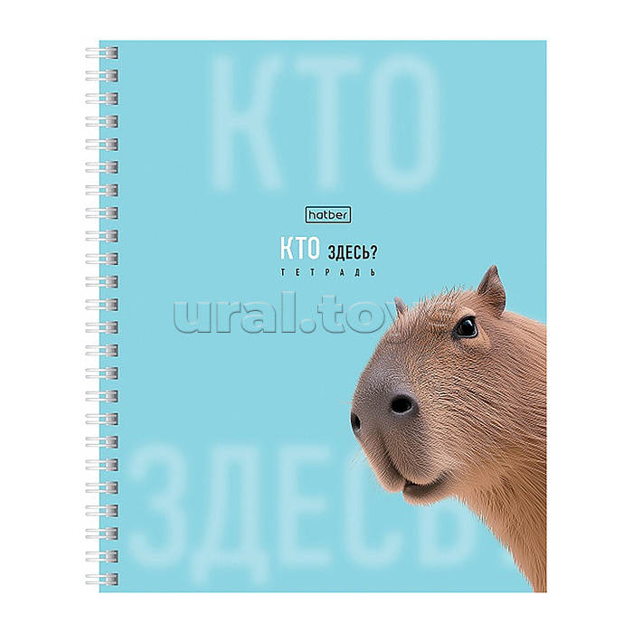 Тетрадь 48л. клетка "Кто здесь?" А5ф 60-65г/кв.м на гребне ламинация перфорация на отрыв 4 диз.