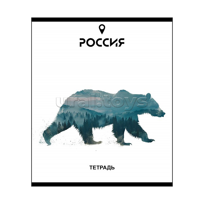 Тетрадь 48л. клетка, А5 "Место силы" скрепка