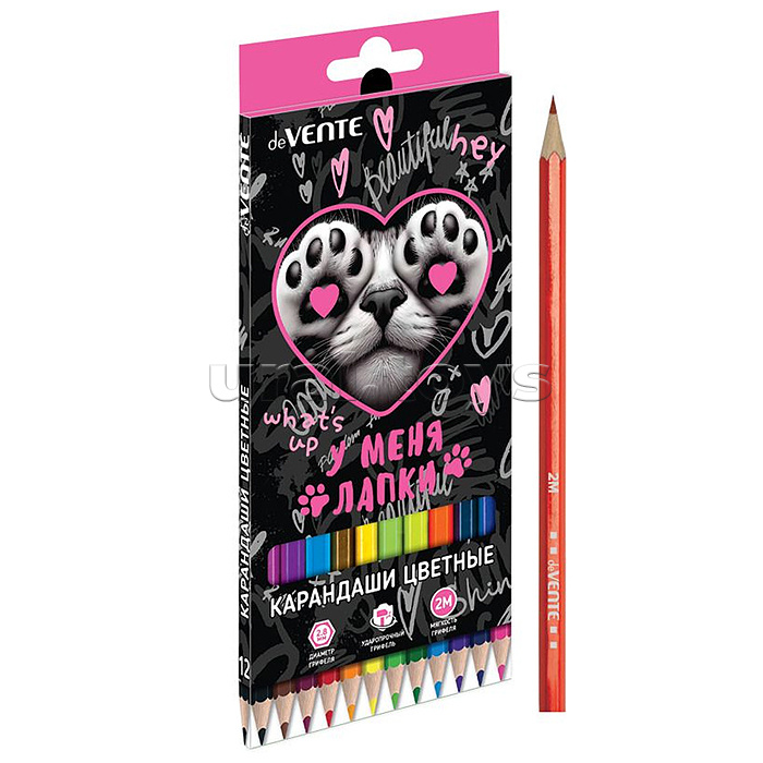 Карандаши цветные "У меня лапки" 12 цветов, 2М, диаметр грифеля 2,8 мм, шестигранные, в картонной коробке