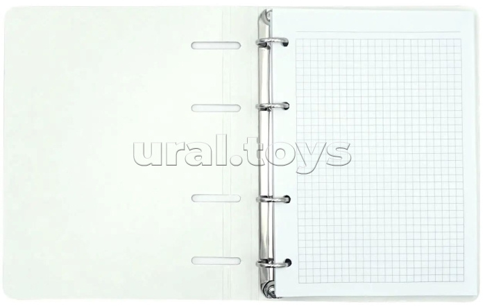 Тетрадь 100л. клетка "Яркий стиль" на кольцах, обл. мелованный картон 500г/м2, ламинация Chameleon