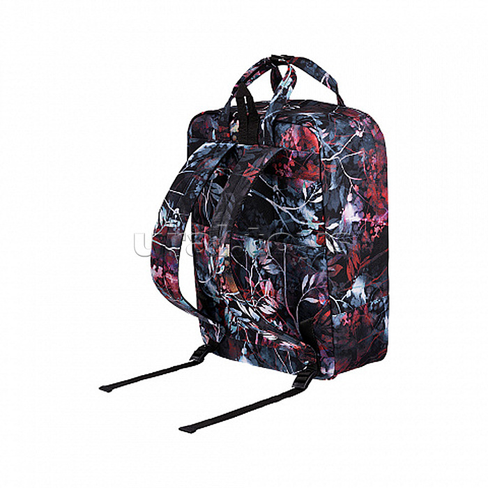 Рюкзак ActiveLine Basic 16L Twigs