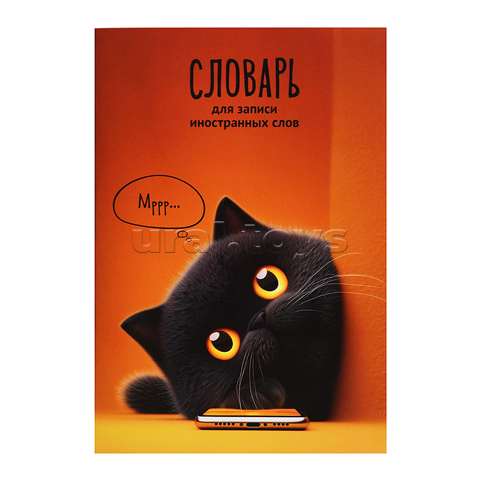 Тетрадь для изучения иностранных слов "Кот с телефоном" А5, 24 л.
