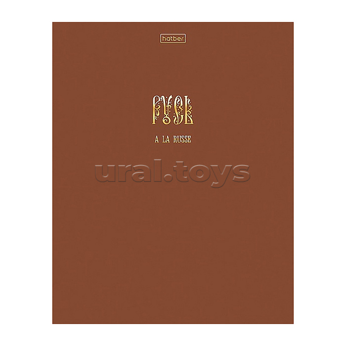 Тетрадь 48л. клетка "А-ля Рус" А5ф на скобе ламинация цв. 3D фольга 5 диз.в блоке