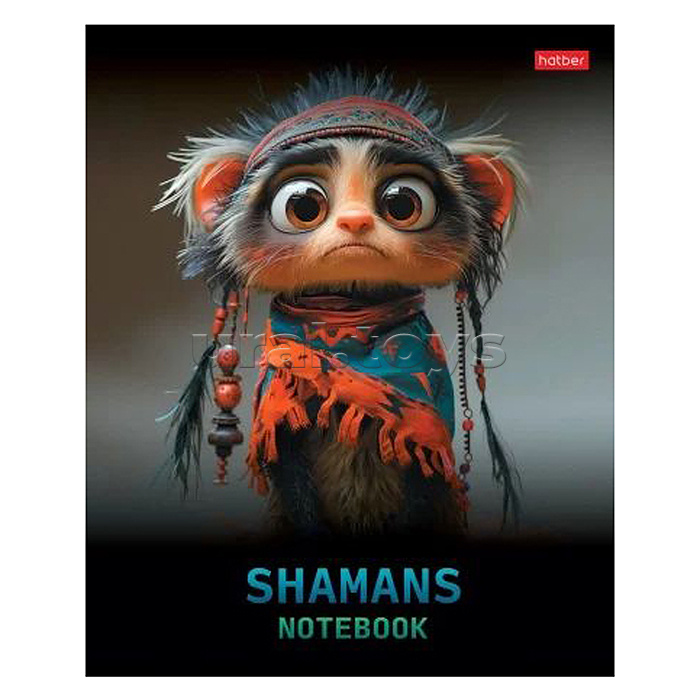 Тетрадь 48л. клетка "Шаманы" 5 диз.