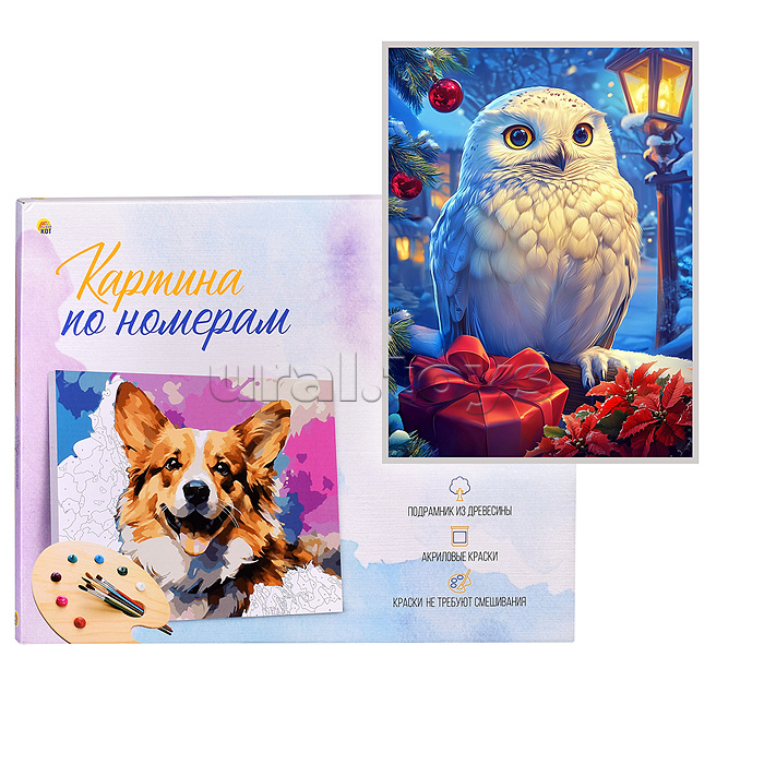 Холст с красками 17х22 по номерам "Белоснежная сова с подарком" в коробке (14цв.) Холст с красками 17х22 по номерам "Белоснежная сова с подарком" в коробке (14цв.)