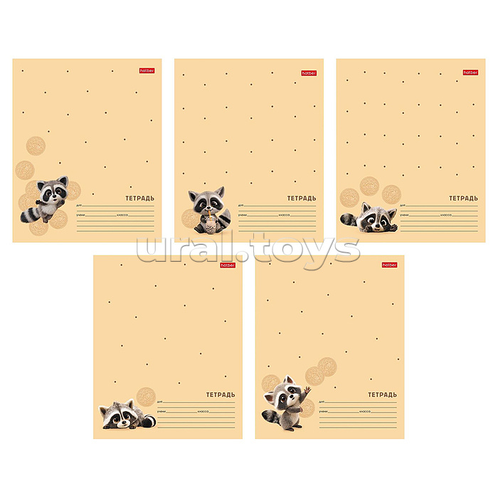 Тетрадь 12л. клетка "Вот енот" А5ф 60-65г/кв.м на скобе Обл. мел.картон 5 диз.в блоке скругл.углы