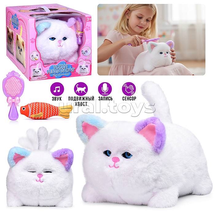 Кошка "Мяу" в коробке