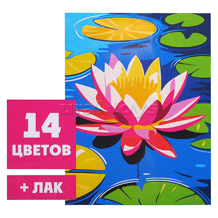Картина по номерам "Лотос на воде" 30х40см