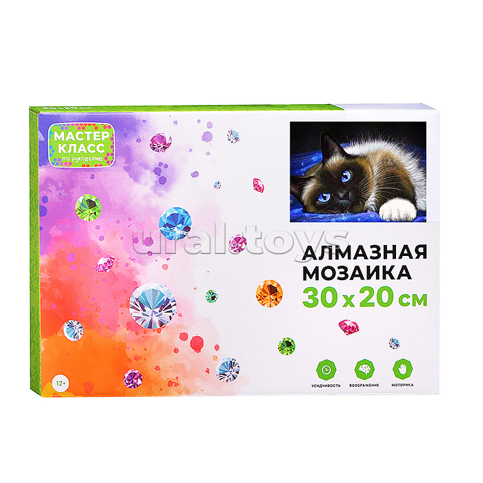 Мозаика алмазная "Изящность" (светится в темноте) 20*30см.