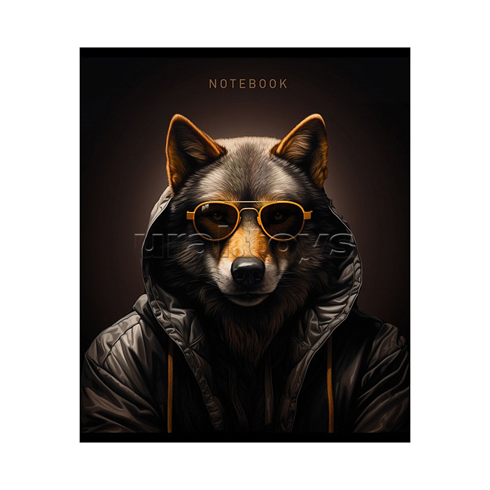 Тетрадь 48л. клетка А5 "Крутые пацаны" скрепка