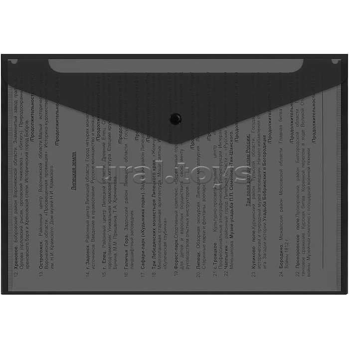 Папка-конверт с кнопкой прозрачная А4 до 100 л, черная, 0,15 мм "Universal"