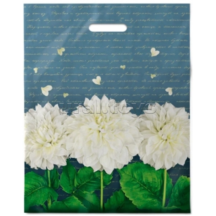 Пакет ПЭ с вырубной ручкой 40x50см+6см "Аллегория"