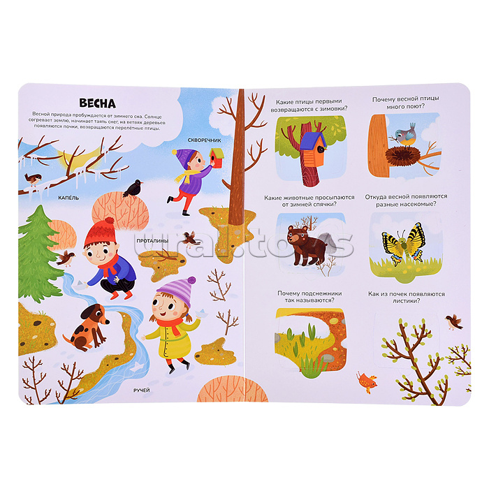 Знания в окошках. Времена года