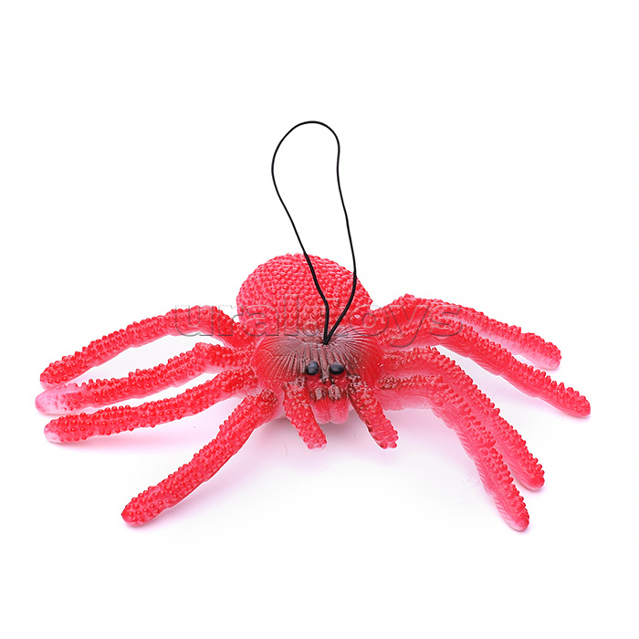 Паук, в пакете