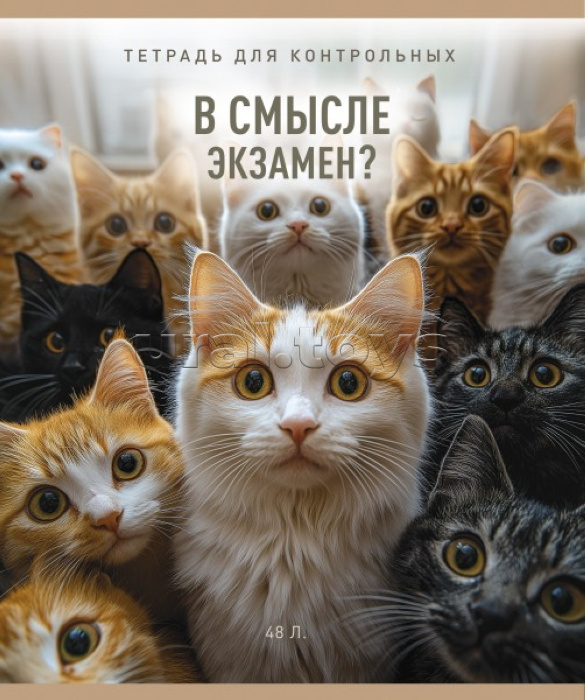 Тетрадь 48л. клетка А5 скрепка S "В смысле?" Премиум 4+0+Ламинация матовая+УФ выб