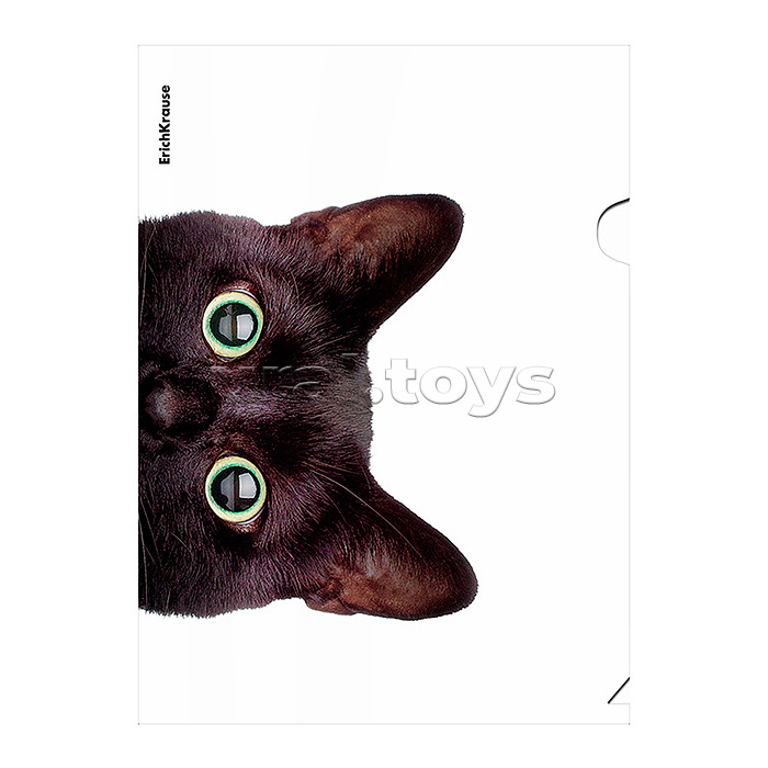 Папка-уголок пластиковая Hiding Cats, A4, ассорти 4 дизайна