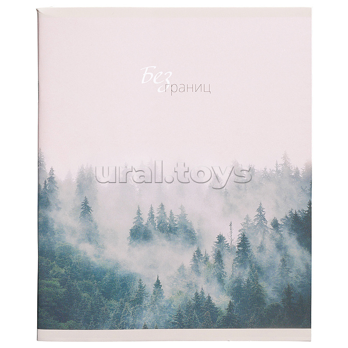 Тетрадь 96л. клетка "Бесконечность горизонтов" А5 скрепка