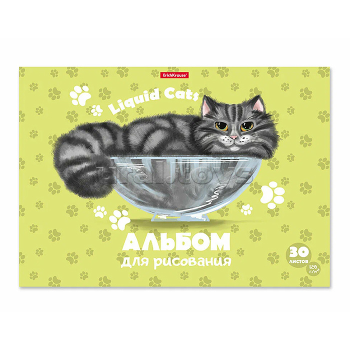 Альбом для рисования 30 л. "Жидкие коты" А4, на клею