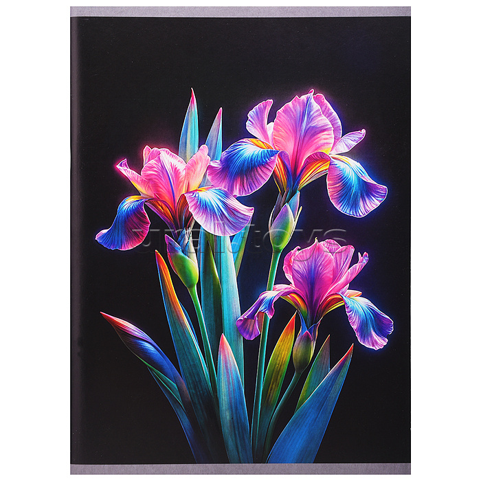 Тетрадь 96л. клетка "Ирисы" А4 обложка мелованный картон, выб. лак. скрепка. Бумага–офсет 60г/м2,