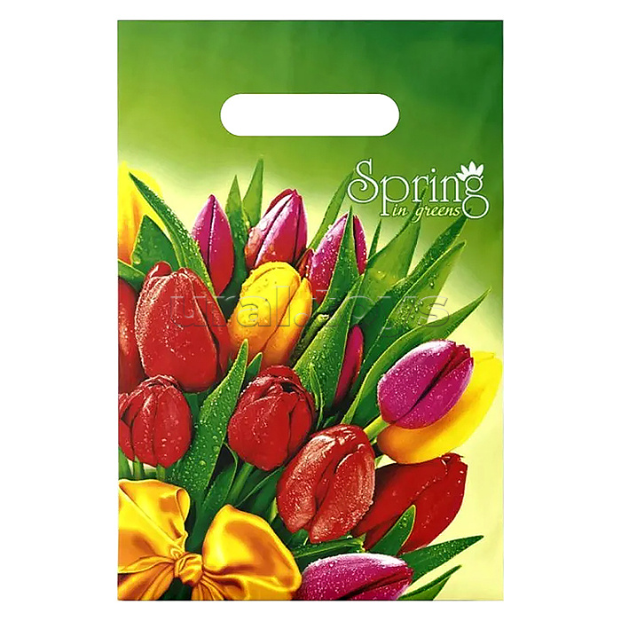 Пакет ПЭ с вырубной ручкой 20х30, 30мкм "Весна" ПВД