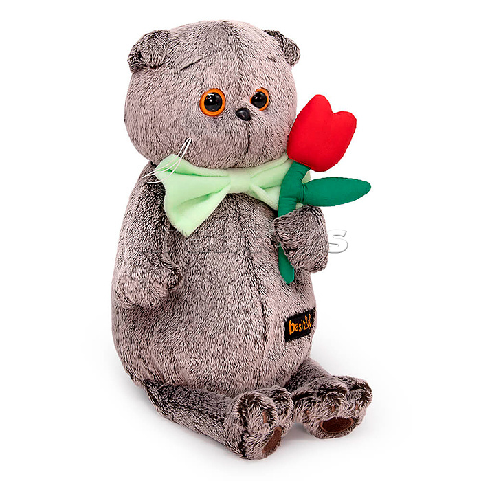 Кот Басик с тюльпаном Кот Басик с тюльпаном