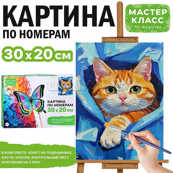 Картина по номерам "Котик в пледе" 30х20 см.