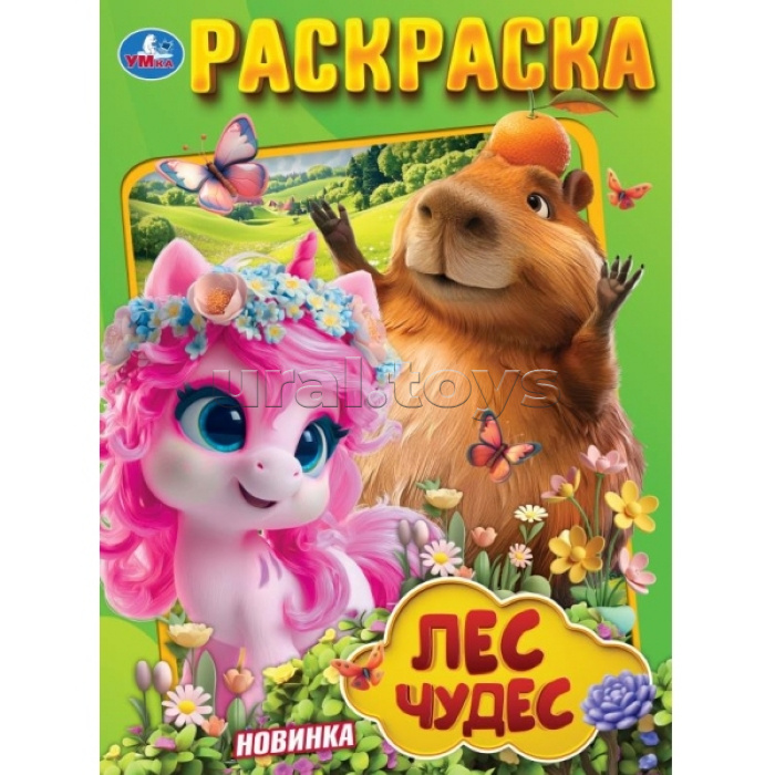 Раскраска "Лес чудес"