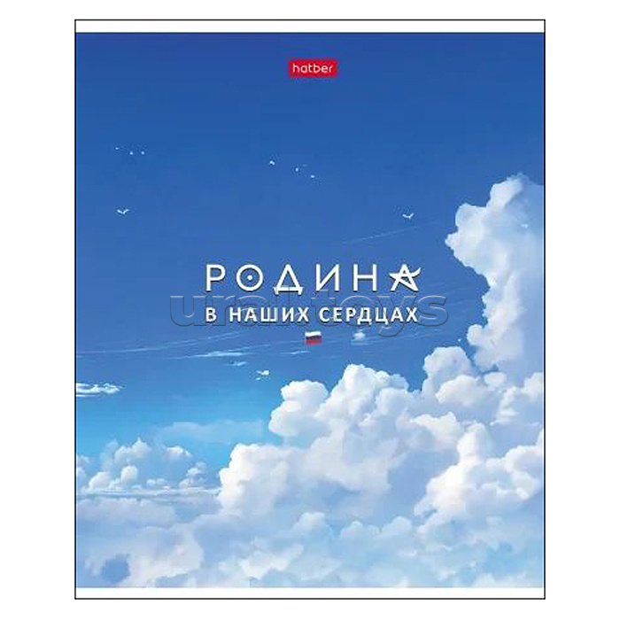 Тетрадь 48л. А5, клетка "Я люблю Россию- с гимном" на скобе 5 диз. Тетрадь 48л. А5, клетка "Я люблю Россию- с гимном" на скобе 5 диз.