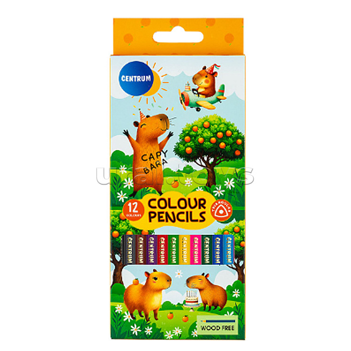 Карандаши цветные пластиковые 12 цв. "Капибара" 177 мл, трехгранный корпус