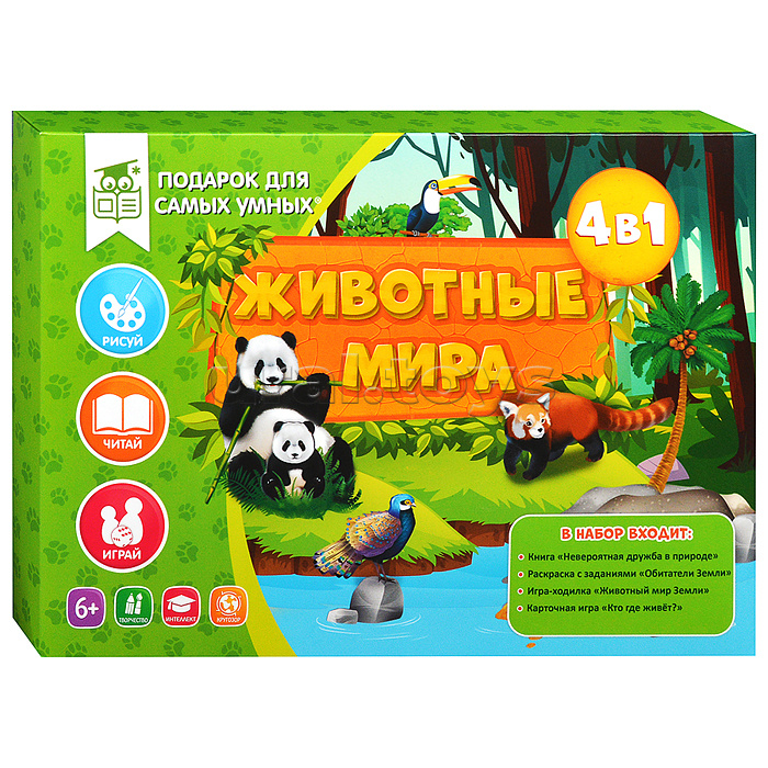 Подарок чемпиону 5в1. Серия Большой подарок.