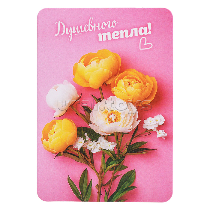 Набор мини-открыток "Прекрасные цветы"