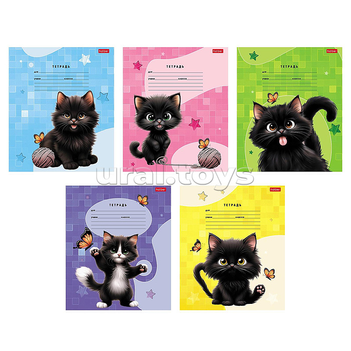 Тетрадь 18л. линия "Черный котик" А5 на скобе